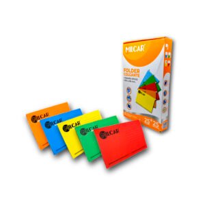FOLDER COLGANTE